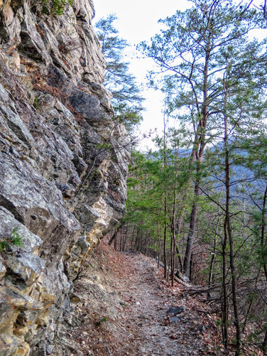 Picture 66 of Rich Mountain Lookout Tower Lovers Leap 121717
