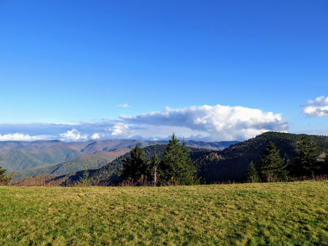 Picture 4 of Richland Balsam Hike 101417