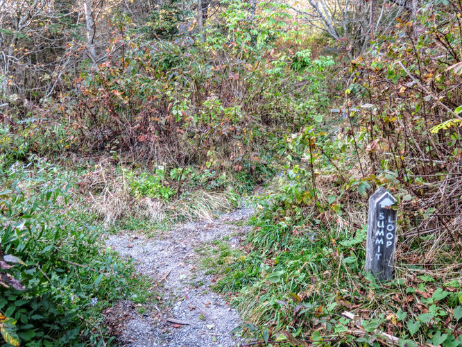 Picture 5 of Richland Balsam Hike 101417
