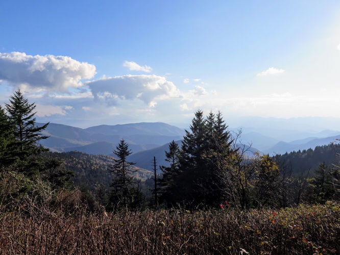 Picture 6 of Richland Balsam Hike 101417