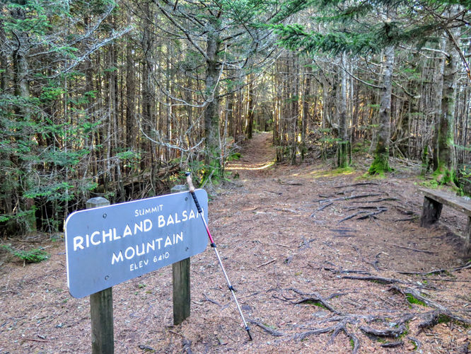 Picture 10 of Richland Balsam Hike 101417