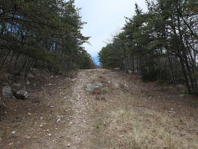 Picture 24 of Riddles Cut Hike 041120