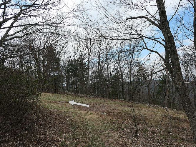 Picture 8 of Riddles Cut Hike 041120