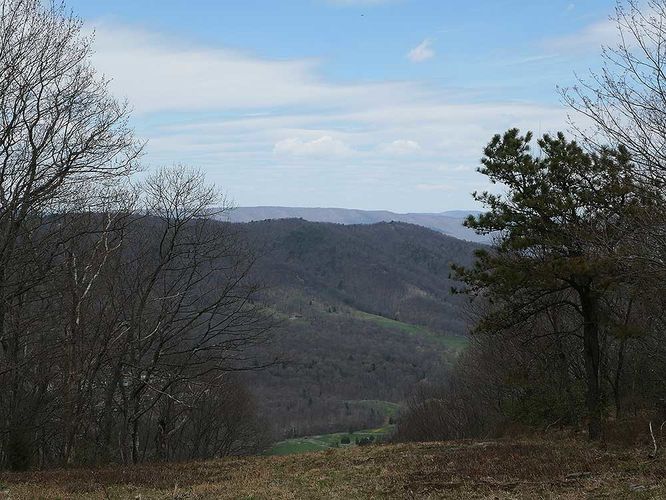 Default image for Riddle's Cut Hike, a 5.6-mile trail in Basye, VA (US)