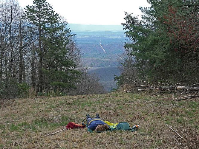 Picture 9 of Riddles Cut Hike 041120