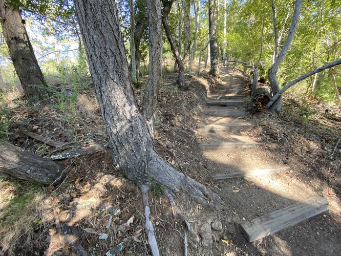 Picture 6 of Ridge Trail 1440 Multiversity