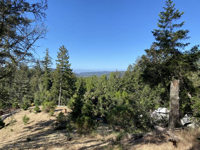 Vista above bee apiaries