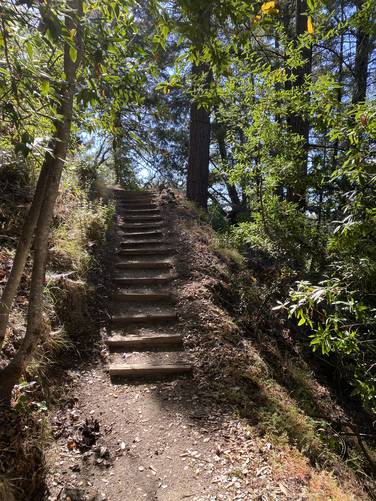Stairs along the trail