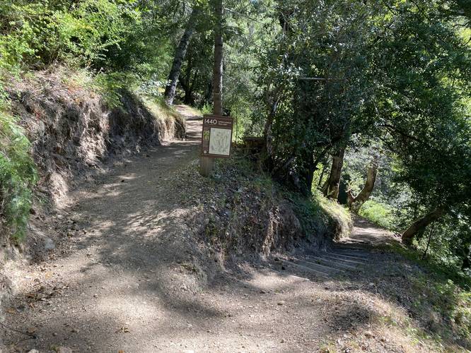 Junction with Summit Trail