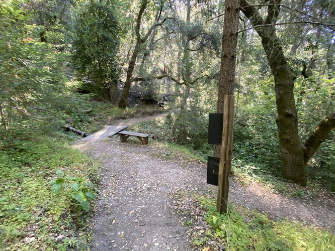 Junction to steep connector trail