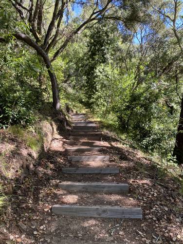 Stairs along the trail