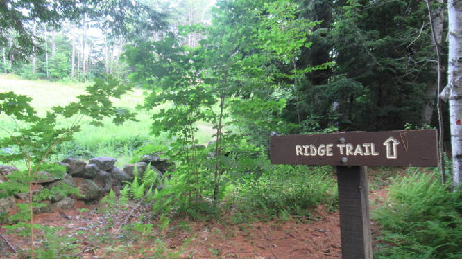 Ridge trail goes back to a single file pathway 