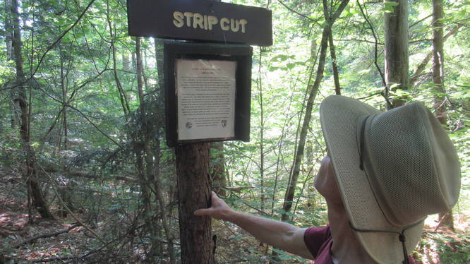 Strip Cutting Education sign