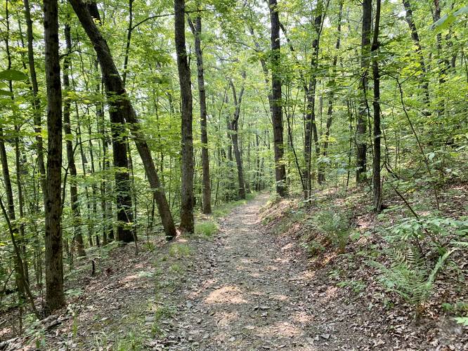 Hiking the Ridge Trail at Newtown Battlefield State Park