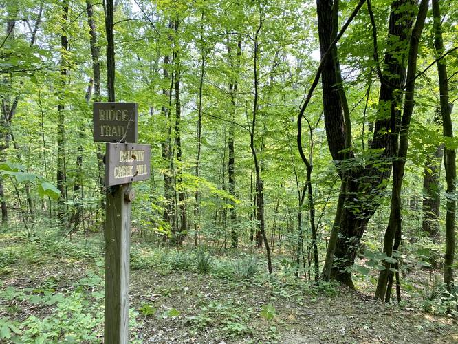 Junction with Baldwin Creek Hill trail