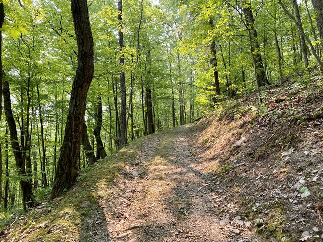 Hiking the Ridge Trail at Newtown Battlefield State Park