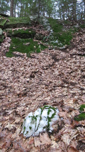 Lots of quartz can be seen along the trail