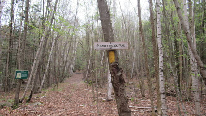 Trail marker on tree at the other end of the trail