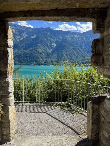 Picture 10 of Riggenberg Castle