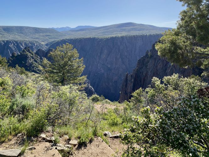 East-facing view into the Black Canyon from the trail