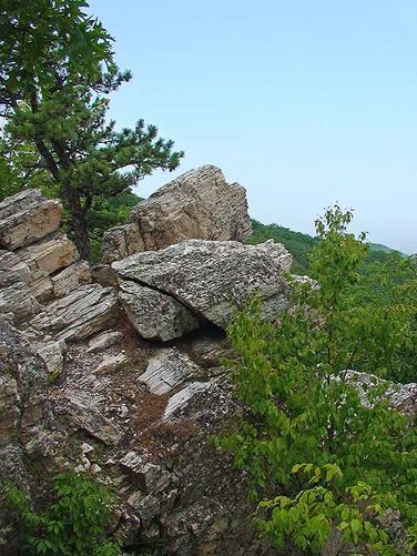Picture 4 of Riprap Hollow Hike 072807