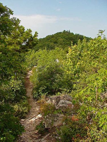Picture 5 of Riprap Hollow Hike 072807