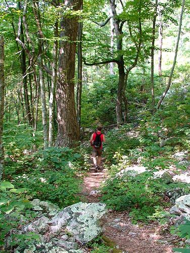 Picture 10 of Riprap Hollow Hike 072807