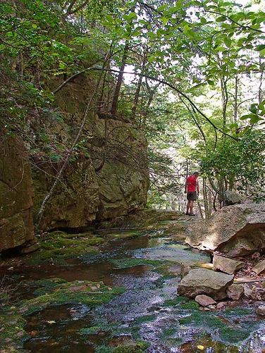 Picture 11 of Riprap Hollow Hike 072807