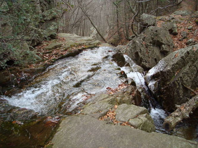 Picture 5 of Riprap Hollow Hike 120608