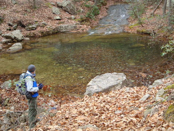 Picture 8 of Riprap Hollow Hike 120608