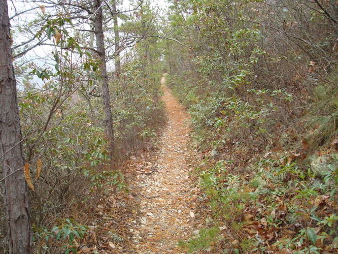 Picture 11 of Riprap Hollow Hike 120608