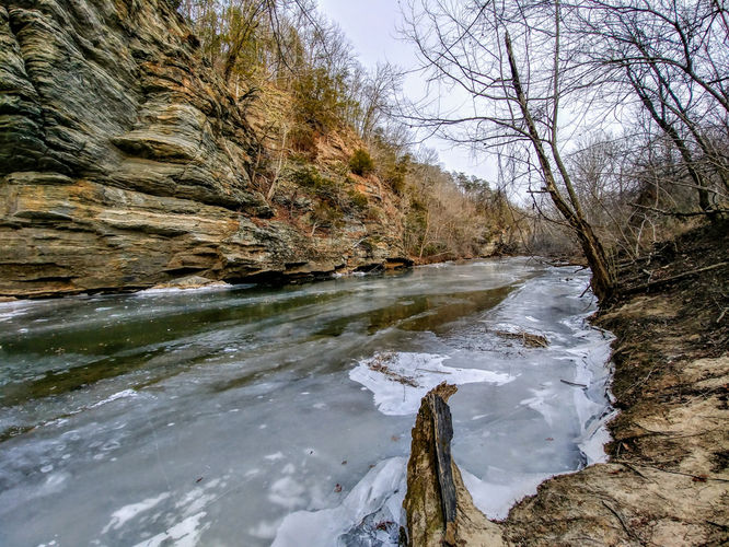 Default image for Riverbluffs Trail Hike, a 1.4-mile trail in Danbury, NC (US)