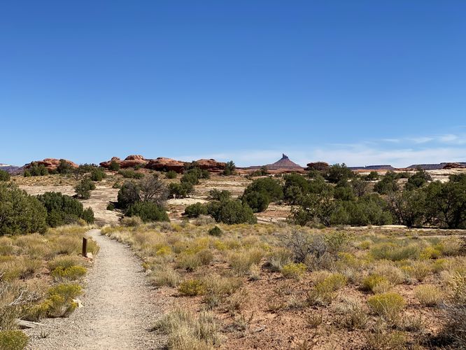  Roadside Ruins Trail at Canyonlands National Park