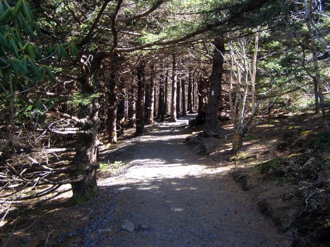 Picture 5 of Roan Highlands Hike 040515
