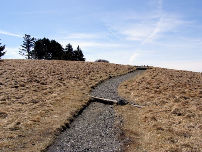 Picture 6 of Roan Highlands Hike 040515