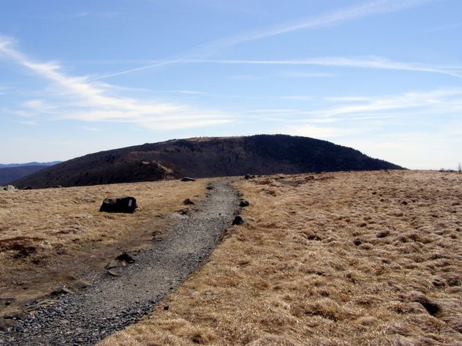 Picture 7 of Roan Highlands Hike 040515