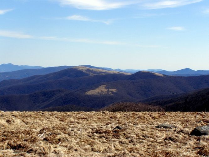 Picture 10 of Roan Highlands Hike 040515