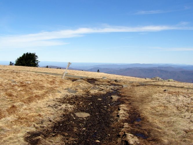 Picture 11 of Roan Highlands Hike 040515