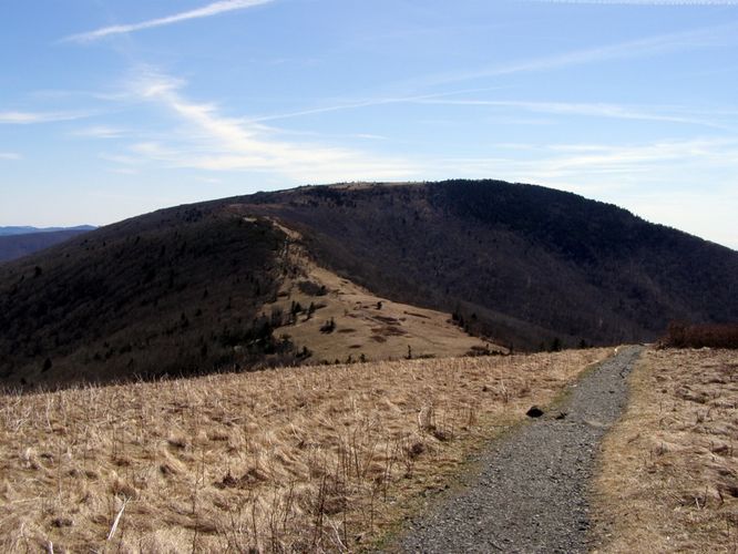 Picture 16 of Roan Highlands Hike 040515