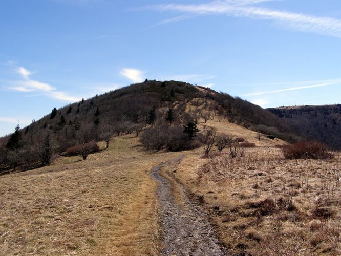 Picture 17 of Roan Highlands Hike 040515