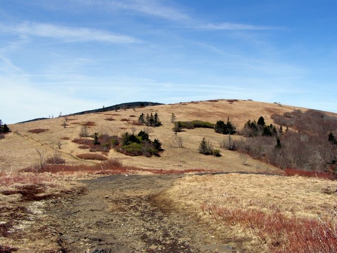 Picture 18 of Roan Highlands Hike 040515