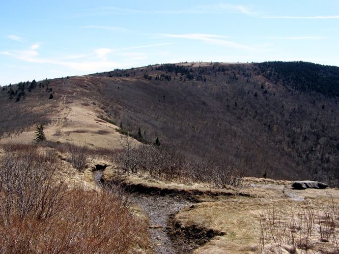 Picture 22 of Roan Highlands Hike 040515