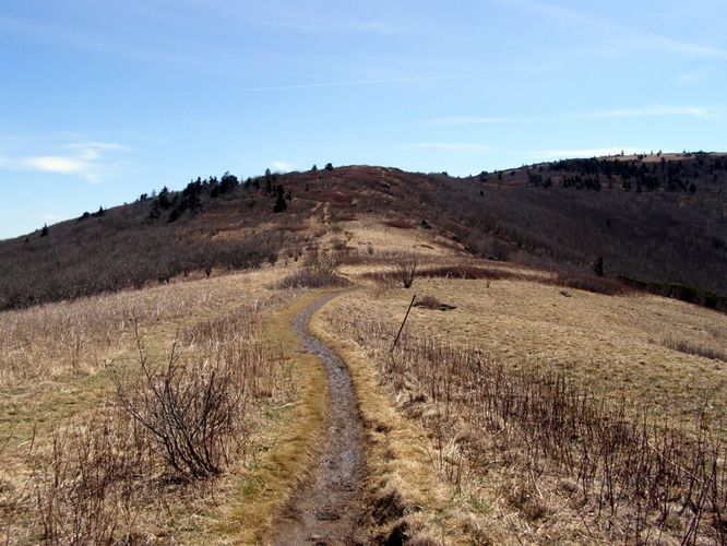 Picture 24 of Roan Highlands Hike 040515