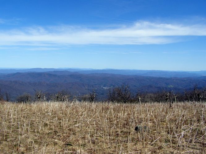 Picture 25 of Roan Highlands Hike 040515