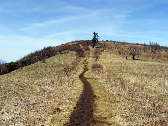 Picture 26 of Roan Highlands Hike 040515