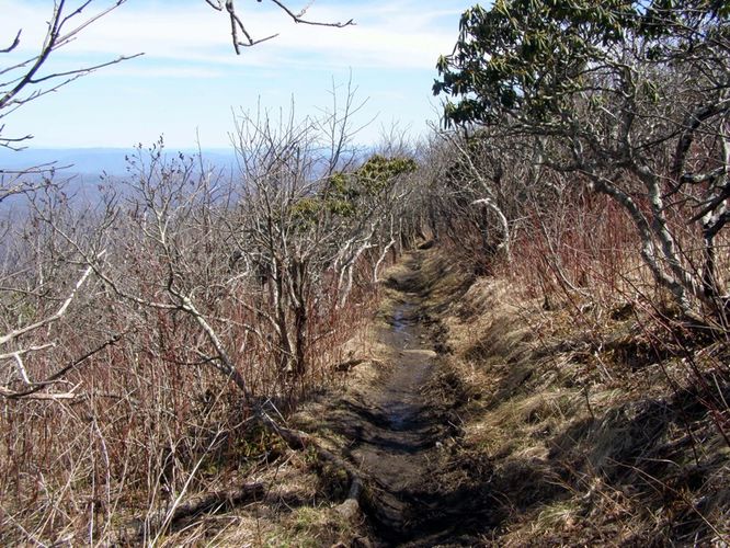 Picture 29 of Roan Highlands Hike 040515