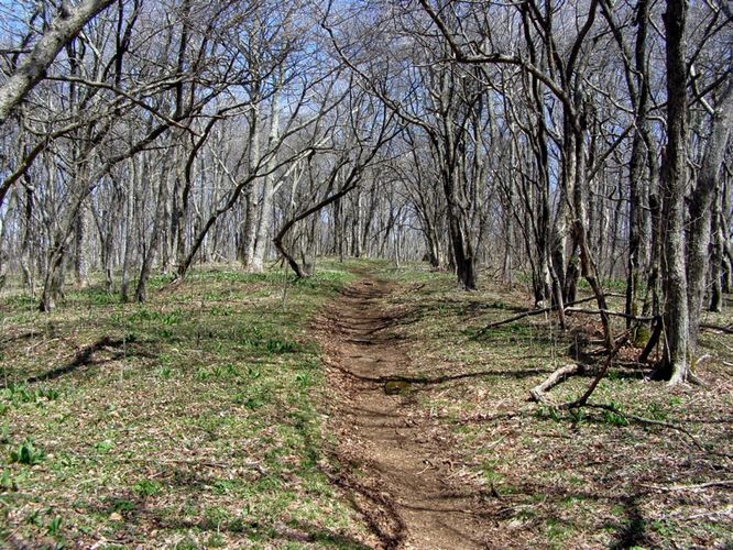 Picture 34 of Roan Highlands Hike 040515