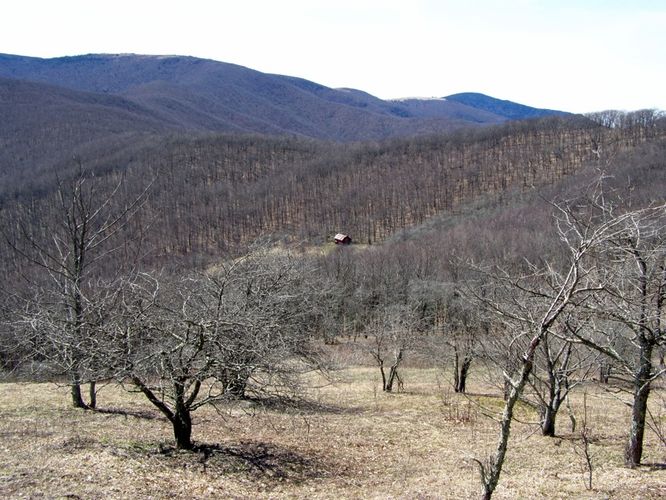 Picture 37 of Roan Highlands Hike 040515