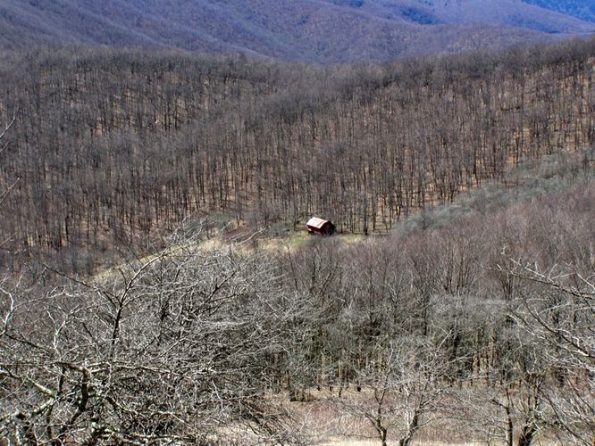Picture 38 of Roan Highlands Hike 040515