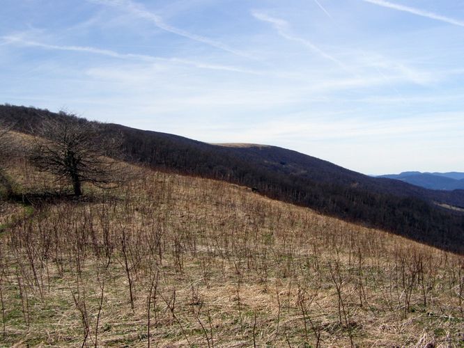 Picture 40 of Roan Highlands Hike 040515